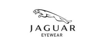 Jaguar logo